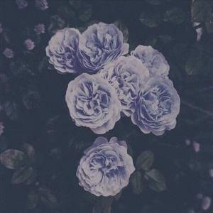 在线观看A片无码一区二区
