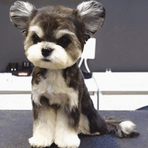 在线观看A片无码一区二区
